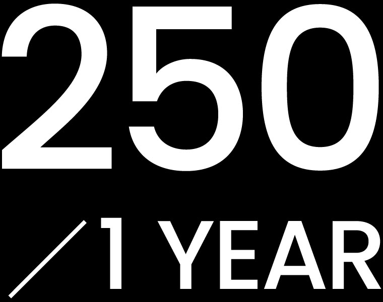 年間250件